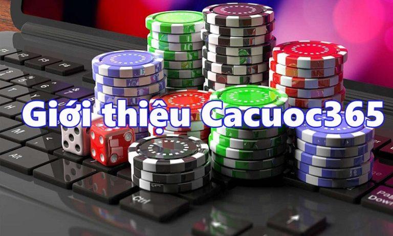 Khám phá top game đánh bạc online hot nhất năm nay cùng các mẹo chơi thắng lớn